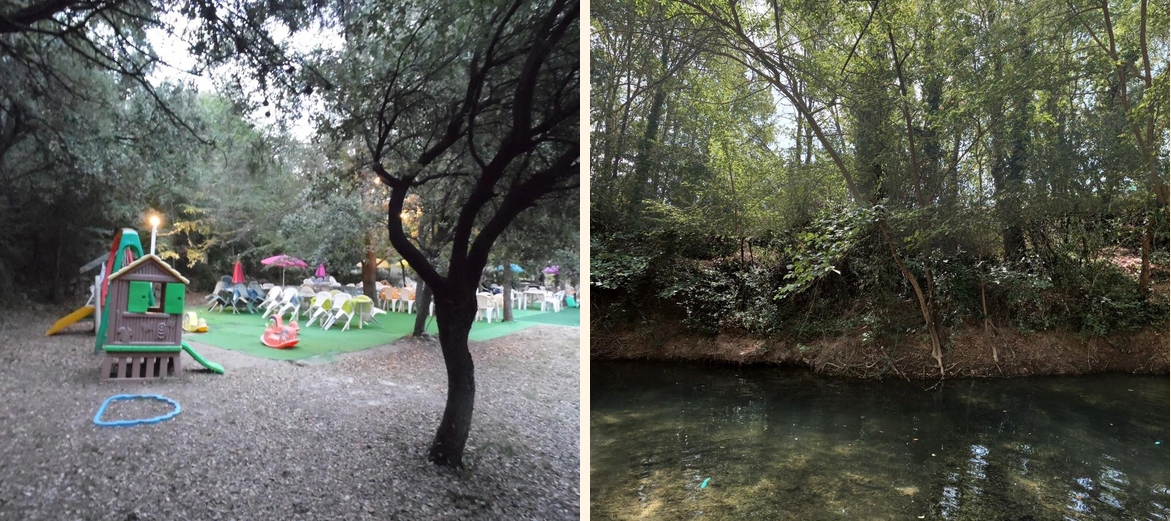 La cigale provençale. L'ecluse - Gallery Image 2